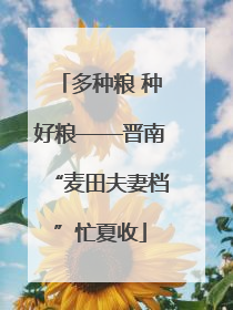多种粮 种好粮——晋南“麦田夫妻档”忙夏收