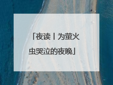 夜读丨为萤火虫哭泣的夜晚