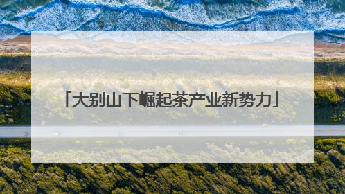 大别山下崛起茶产业新势力