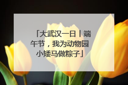 大武汉一日丨端午节，我为动物园小矮马做粽子