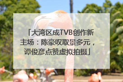 大湾区成TVB创作新主场：陈豪叹取景多元，谭俊彦点赞虚拟拍摄