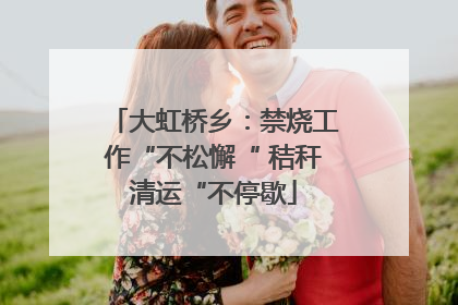 大虹桥乡：禁烧工作“不松懈“ 秸秆清运“不停歇