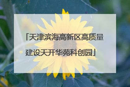天津滨海高新区高质量建设天开华苑科创园