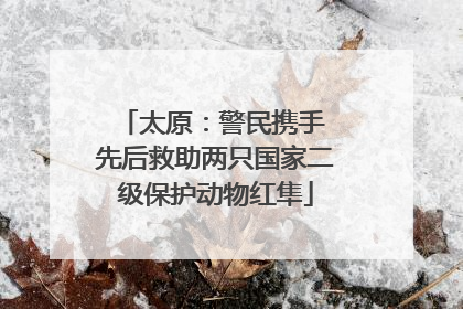太原：警民携手 先后救助两只国家二级保护动物红隼