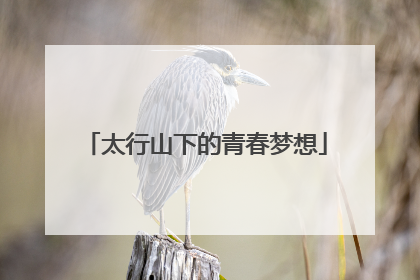 太行山下的青春梦想