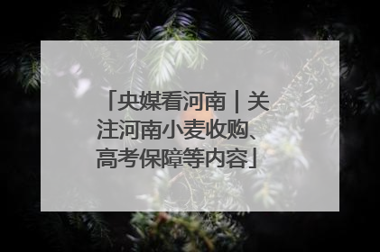 央媒看河南｜关注河南小麦收购、高考保障等内容