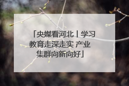 央媒看河北丨学习教育走深走实 产业集群向新向好