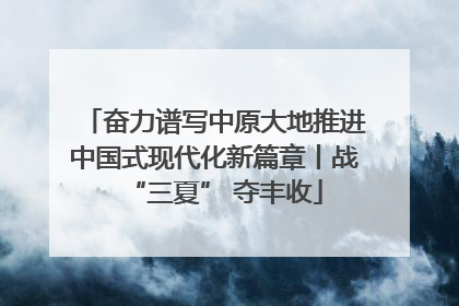 奋力谱写中原大地推进中国式现代化新篇章丨战“三夏” 夺丰收