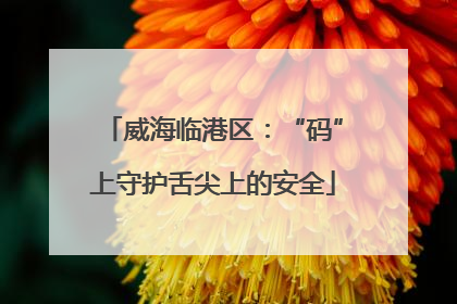 威海临港区：“码”上守护舌尖上的安全