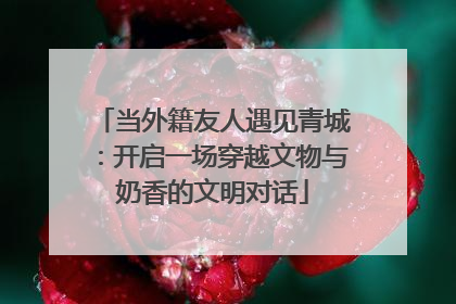 当外籍友人遇见青城：开启一场穿越文物与奶香的文明对话
