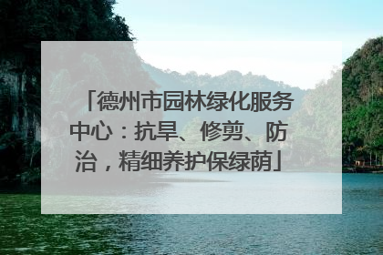 德州市园林绿化服务中心：抗旱、修剪、防治，精细养护保绿荫