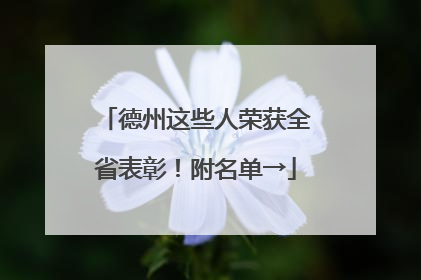 德州这些人荣获全省表彰！附名单→