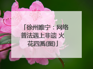 徐州睢宁：网络普法遇上非遗 火花四溅(图)