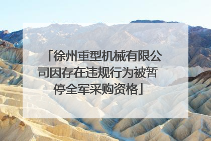 徐州重型机械有限公司因存在违规行为被暂停全军采购资格