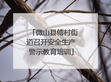 微山县傅村街道召开安全生产警示教育培训