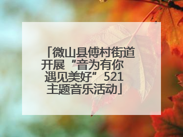 微山县傅村街道开展“音为有你 遇见美好”521主题音乐活动