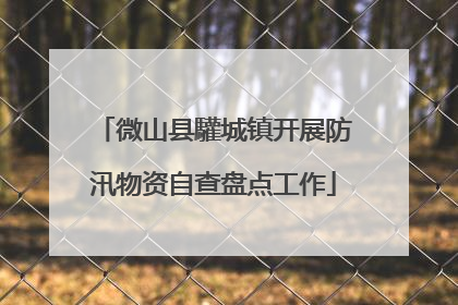 微山县驩城镇开展防汛物资自查盘点工作