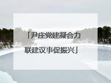 尹庄党建凝合力 联建议事促振兴