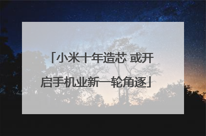 小米十年造芯 或开启手机业新一轮角逐