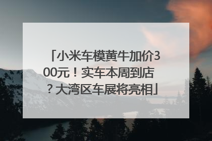 小米车模黄牛加价300元！实车本周到店？大湾区车展将亮相