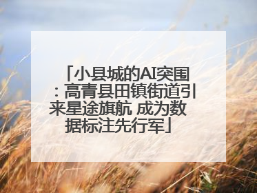 小县城的AI突围：高青县田镇街道引来星途旗航 成为数据标注先行军