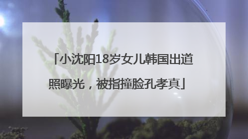 小沈阳18岁女儿韩国出道照曝光，被指撞脸孔孝真