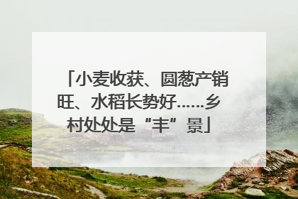 小麦收获、圆葱产销旺、水稻长势好……乡村处处是“丰”景