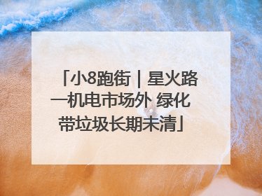 小8跑街｜星火路一机电市场外 绿化带垃圾长期未清