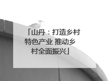 山丹：打造乡村特色产业 推动乡村全面振兴