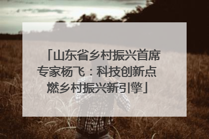 山东省乡村振兴首席专家杨飞：科技创新点燃乡村振兴新引擎