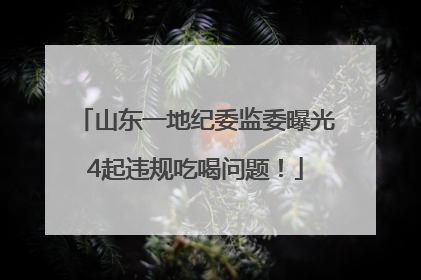 山东一地纪委监委曝光4起违规吃喝问题！