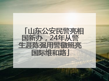 山东公安民警亮相国新办，24年从警生涯陈强用警徽照亮国际维和路