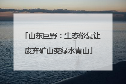 山东巨野：生态修复让废弃矿山变绿水青山