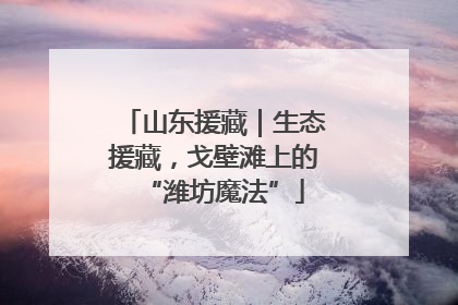 山东援藏｜生态援藏，戈壁滩上的“潍坊魔法”