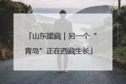 山东援藏｜另一个“青岛”正在西藏生长