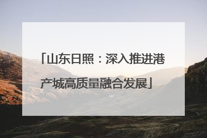山东日照：深入推进港产城高质量融合发展