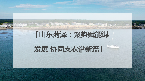 山东菏泽：聚势赋能谋发展 协同支农谱新篇
