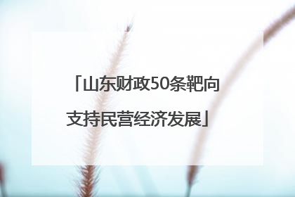 山东财政50条靶向支持民营经济发展