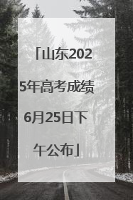山东2025年高考成绩6月25日下午公布
