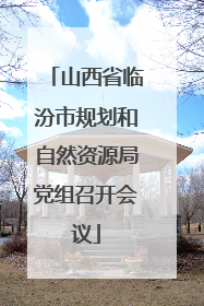 山西省临汾市规划和自然资源局党组召开会议
