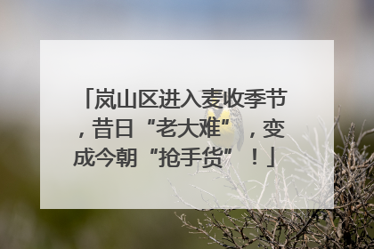 岚山区进入麦收季节，昔日“老大难”，变成今朝“抢手货”！
