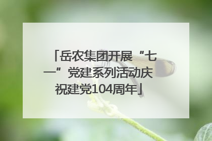 岳农集团开展“七一”党建系列活动庆祝建党104周年