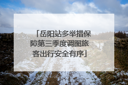 岳阳站多举措保障第三季度调图旅客出行安全有序