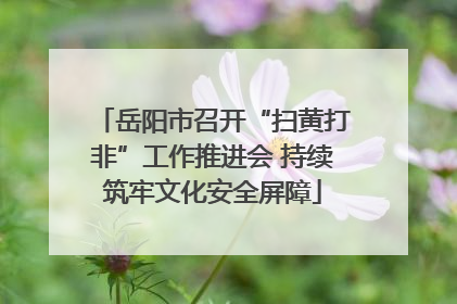 岳阳市召开“扫黄打非”工作推进会 持续筑牢文化安全屏障