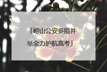 崂山公安多措并举全力护航高考