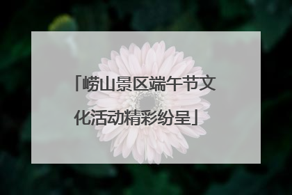 崂山景区端午节文化活动精彩纷呈