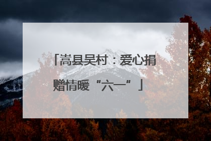 嵩县吴村：爱心捐赠情暖“六一”