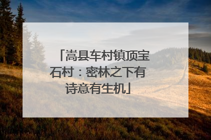 嵩县车村镇顶宝石村：密林之下有诗意有生机