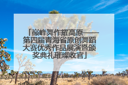 巅峰舞作耀高原——第四届青海省原创舞蹈大赛优秀作品展演暨颁奖典礼璀璨收官