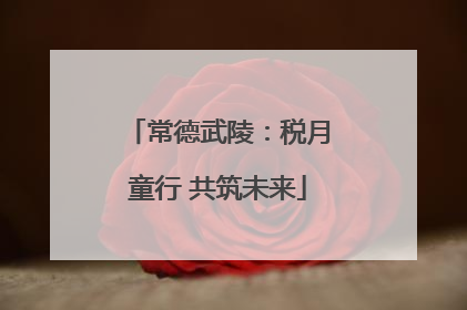 常德武陵：税月童行 共筑未来
